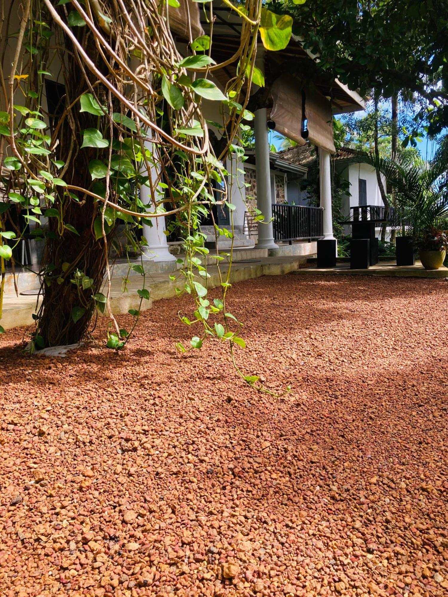Wija House - Unawatuna Ngoại thất bức ảnh