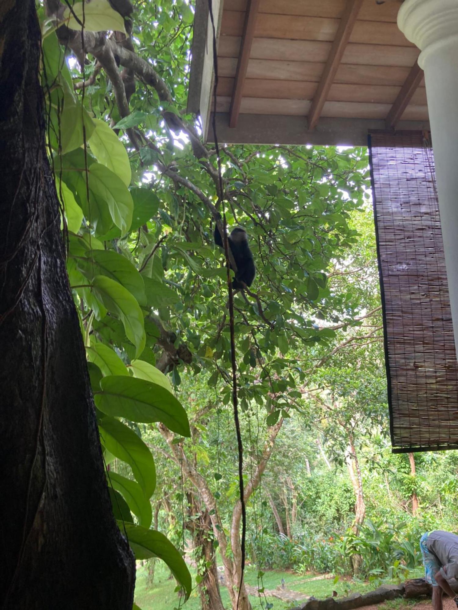 Wija House - Unawatuna Ngoại thất bức ảnh