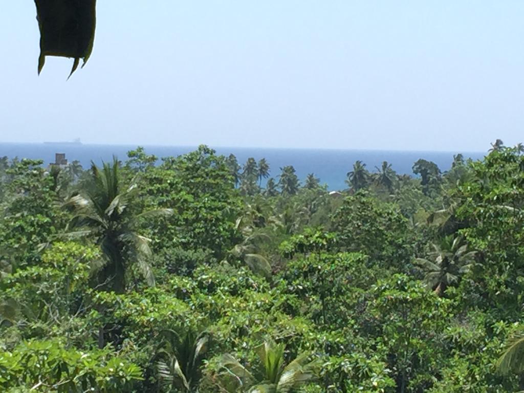 Wija House - Unawatuna Phòng bức ảnh